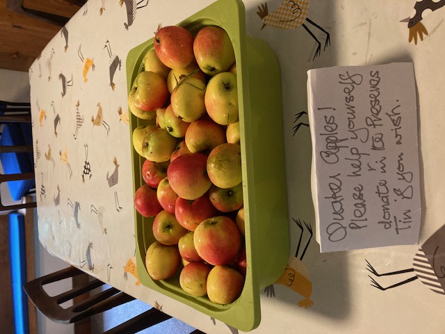 Apples